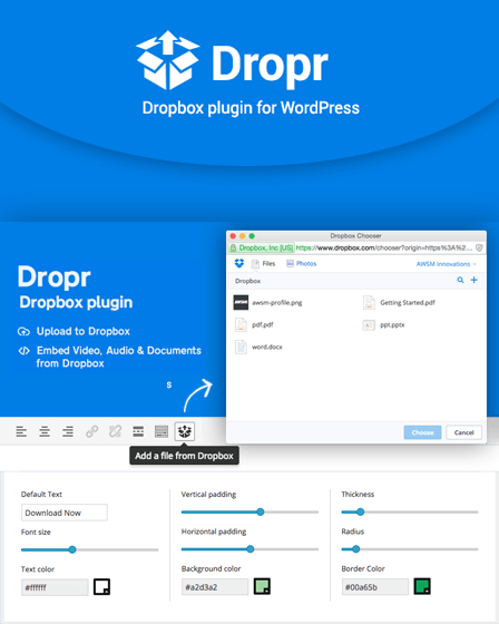 Dropbox WordPress Plugin