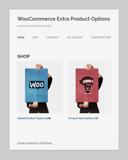 WordPress Plugin For WooCommerce