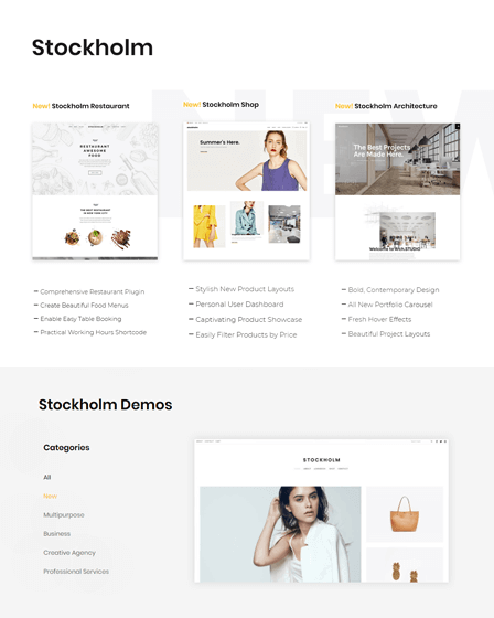 WP Multipurpose Theme