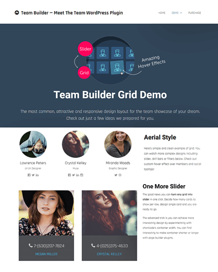 Team WordPress Plugin