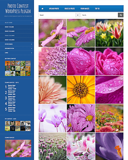 Photo Contest WordPress Plugin