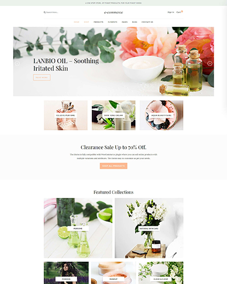 ecommerce WordPress Theme